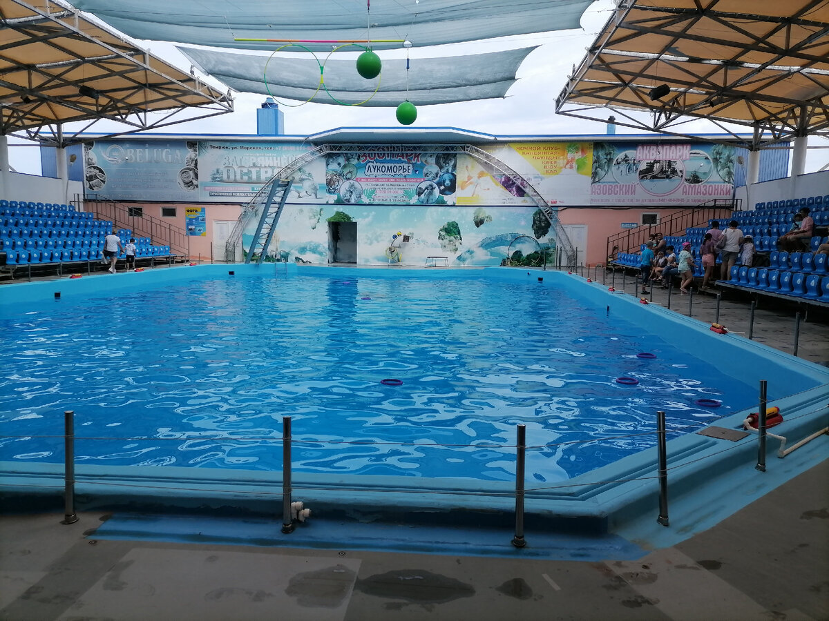 Бассейн дельфинариях. Фото автора