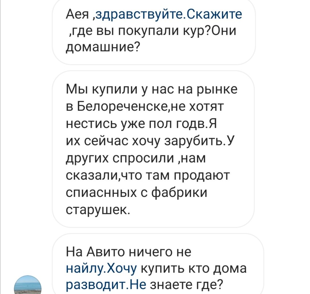 Скриншот из личных сообщений