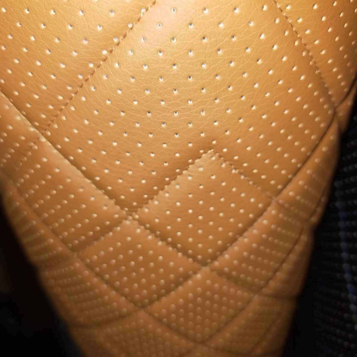 Экокожа перфорация