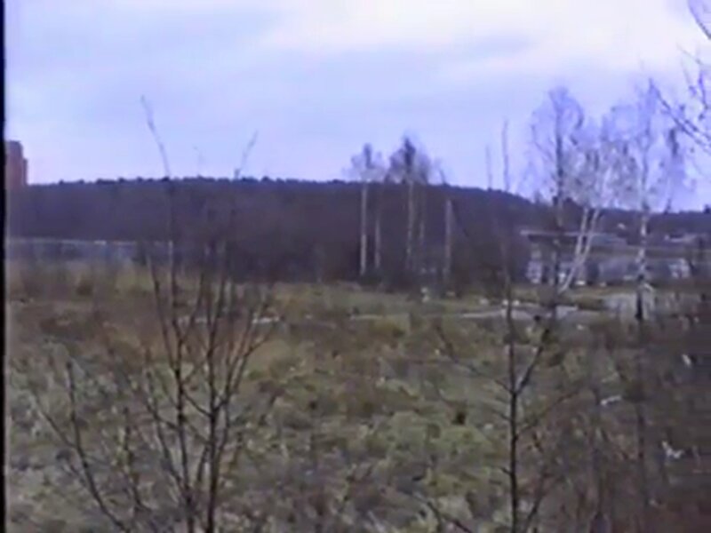 Берег озера.