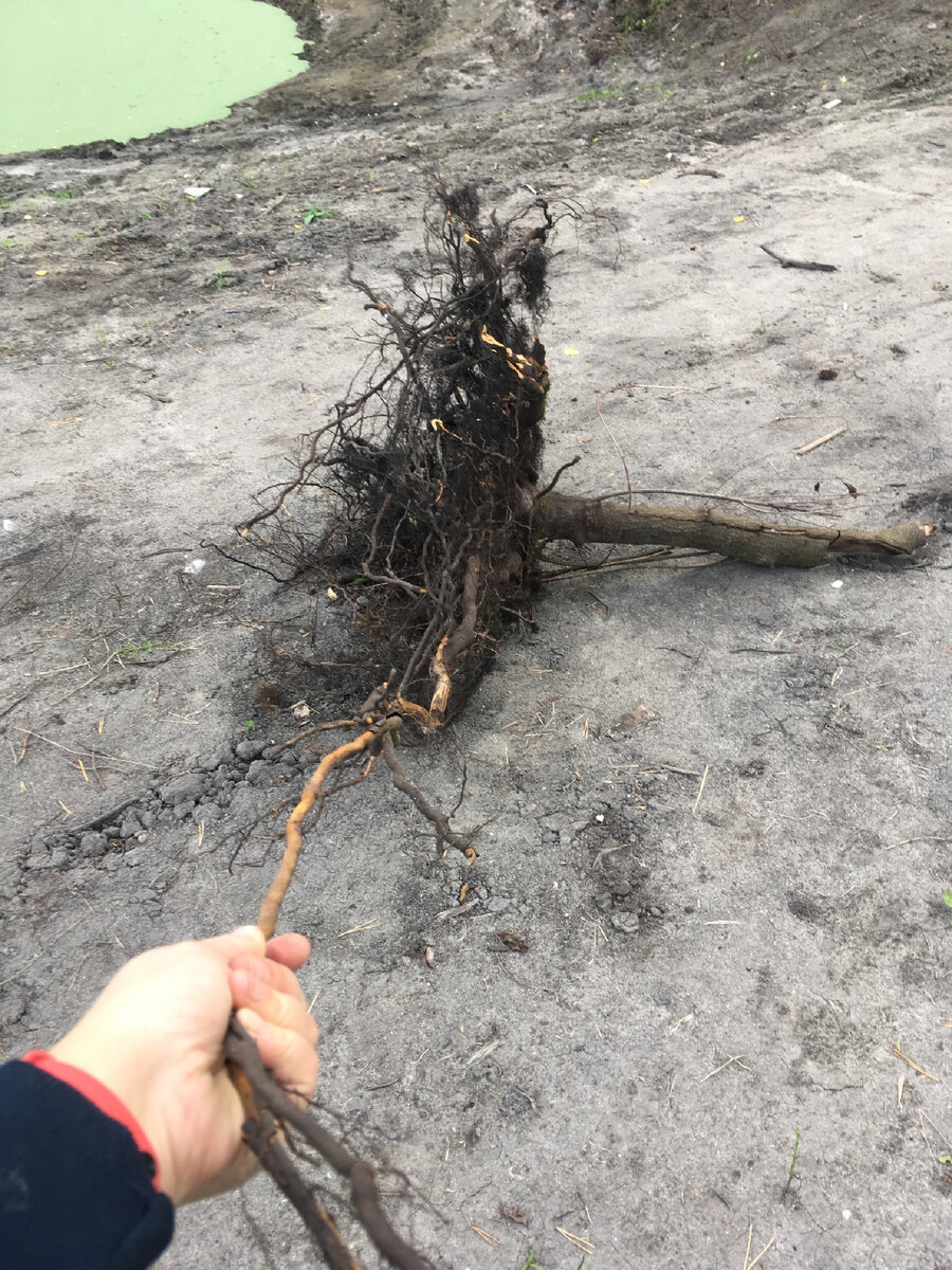 Следуй за мной