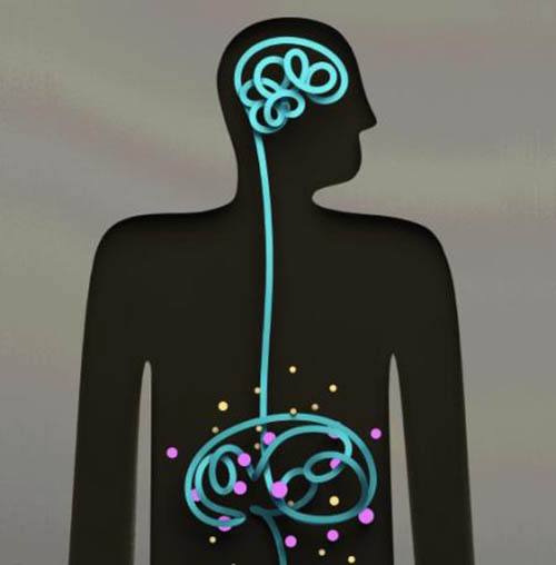 Психобиотики - палочка выручалочка для вашего мозга.