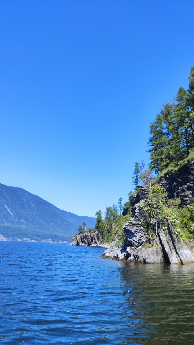 Деревья борются за жизнь на каждом клочке горной породы