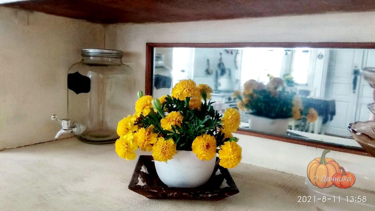 Насчитывают более 50 видов бархатцев. Это один из них.