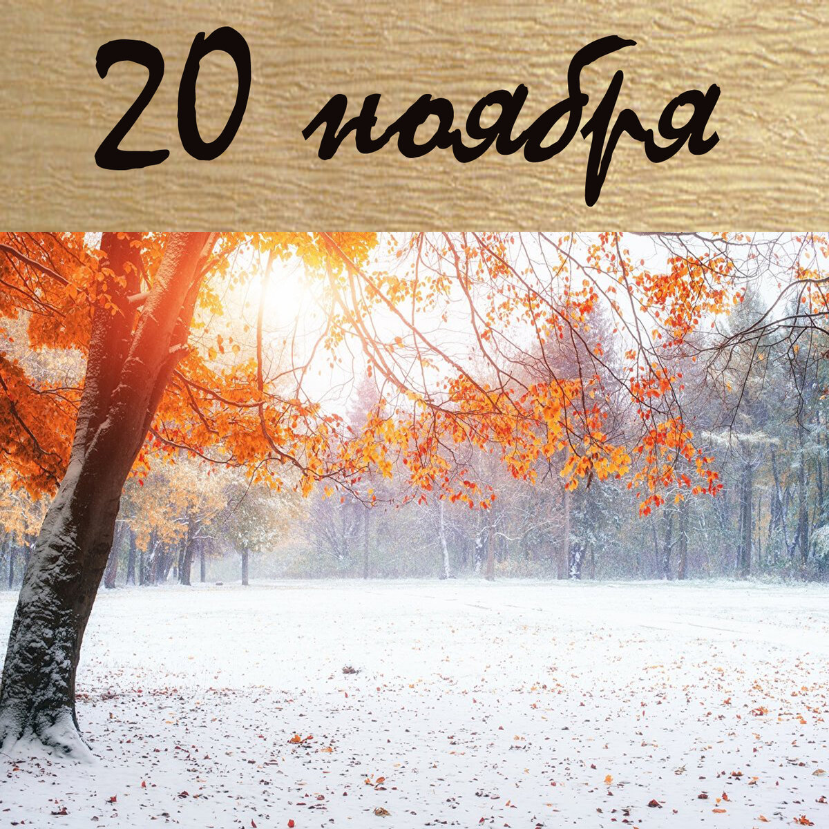 17 января лунный день. 17 января лунный день. 17 лунный день аффирмации. Фаза убывающей луны в сентябре 2005 года. Луна 24 декабря 2021 года.