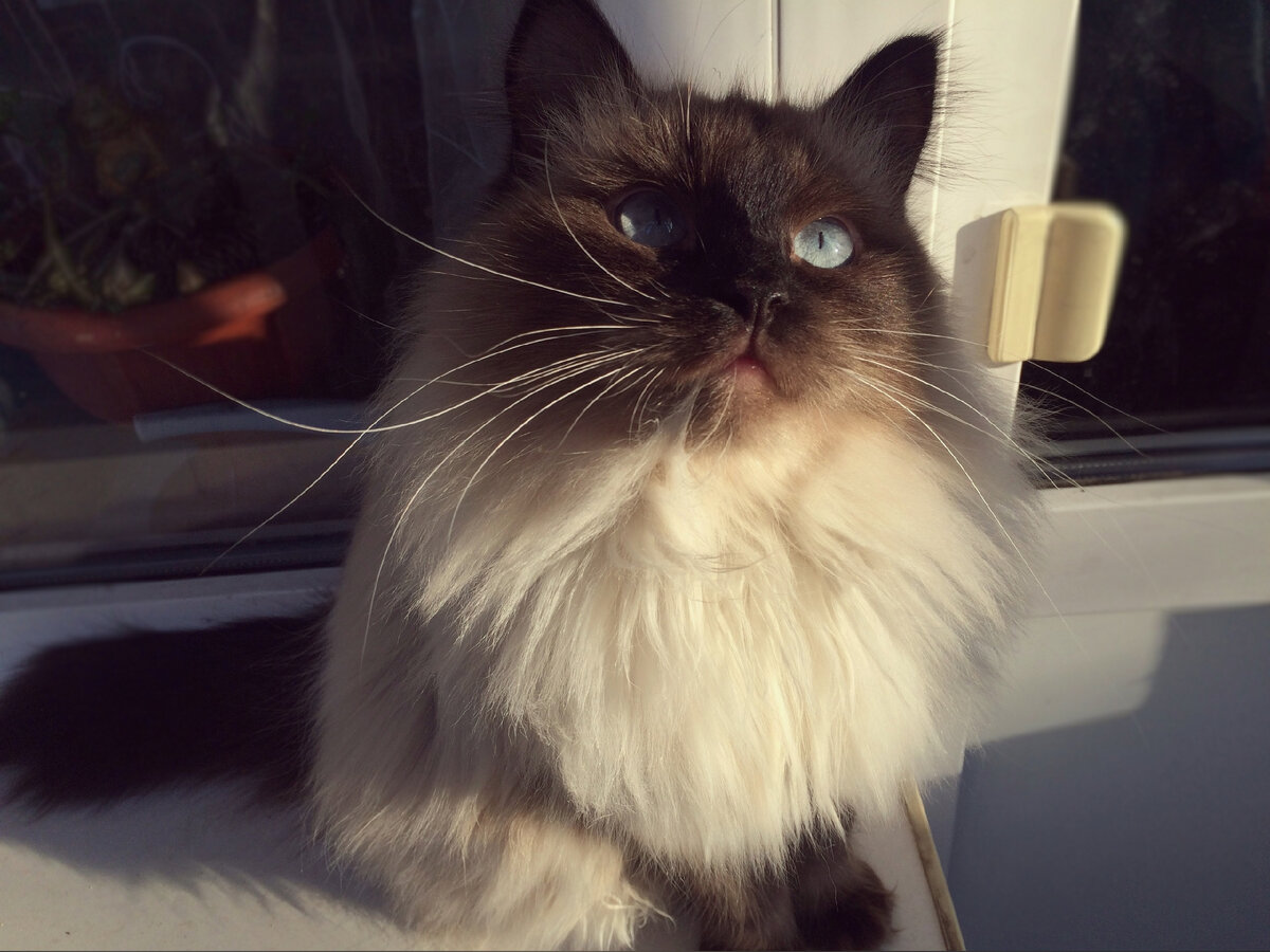 Лейла на балконе