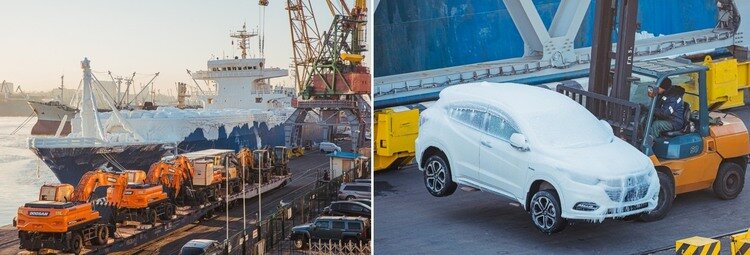 Фото: newsvl.ru 