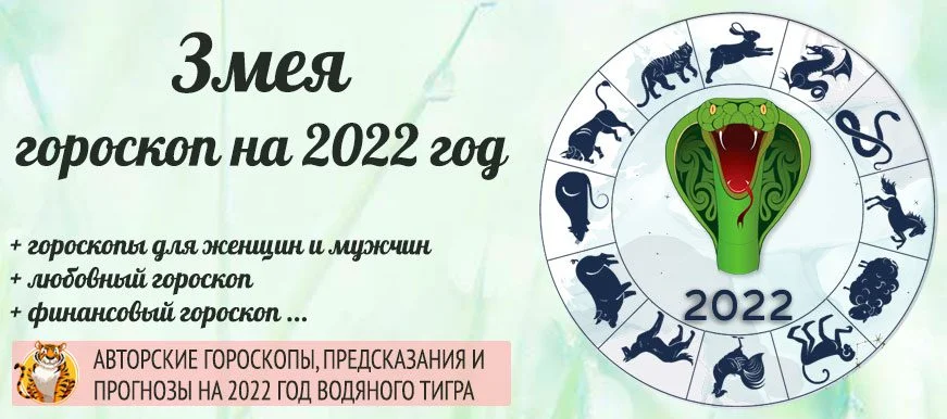Год рождения по гороскопу 2022. Гороскоп змея на 2022. Гороскоп на 2022 год для змеи. Гороскоп на 2022 змея женщина. Гороскоп для змеи на 2022 год для женщин.