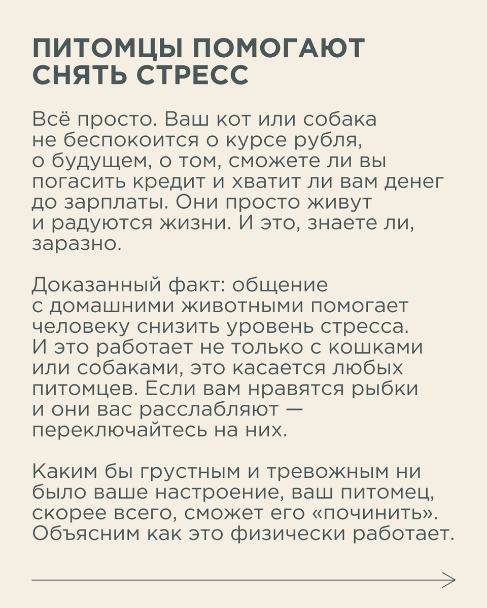 Иногда нам бывает очень трудно справиться с негативными мыслями и стрессом.  Как животные отвлекают нас от плохих мыслей | Новый очаг | Дзен