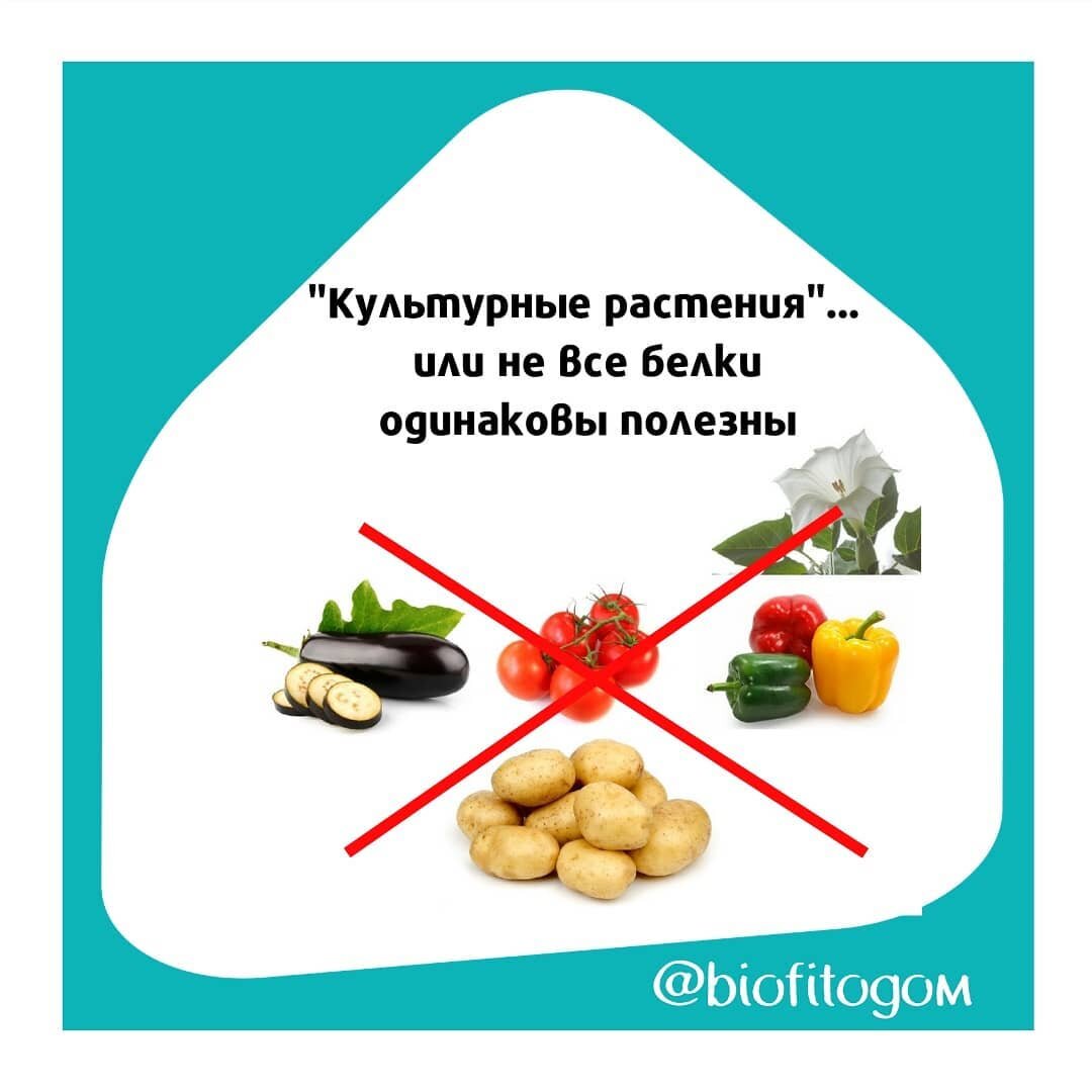 Больше всего их в: