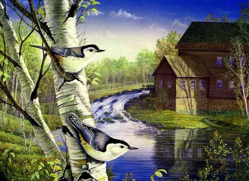 Художник Тимм Сэм