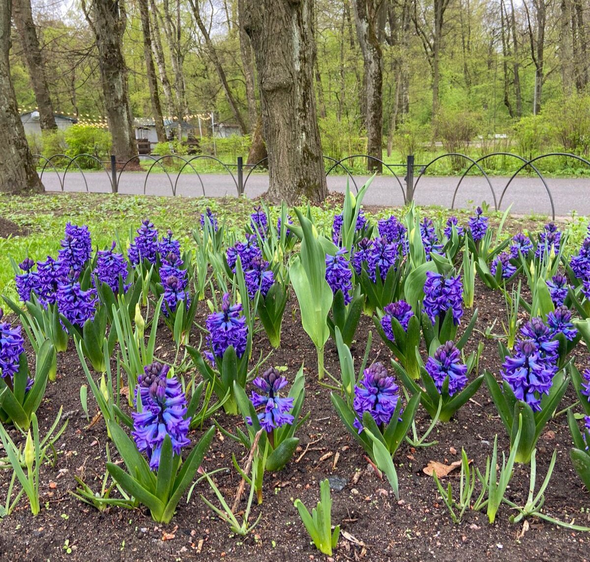 Просто красиво...