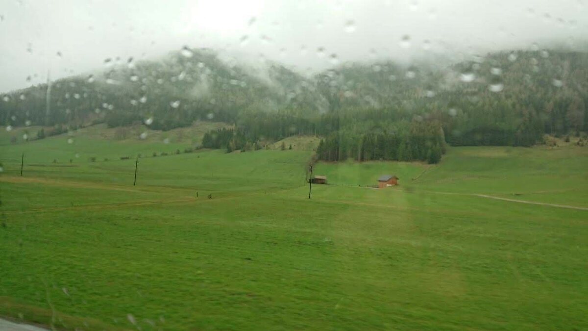 Фото в статье, здесь и дальше, исключительно автора