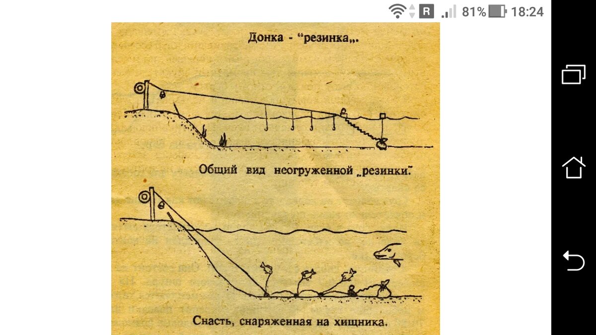 Что такое донка: разновидности, монтажи, принцип действия