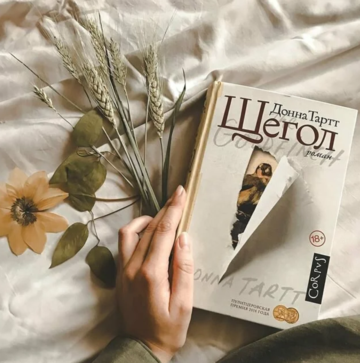 Фото Яндекс.Картинки