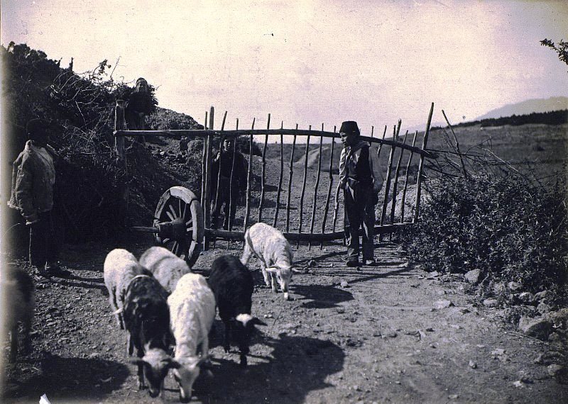 Дубровский Михаил Исидорович. Пастухи. Татары крымские. Деревня Демерджи (ныне -пос. Лучистое, Алушта).