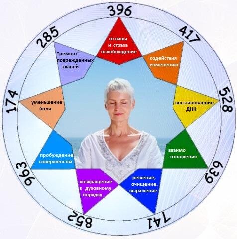 Фото взято из открытого источника интернета 