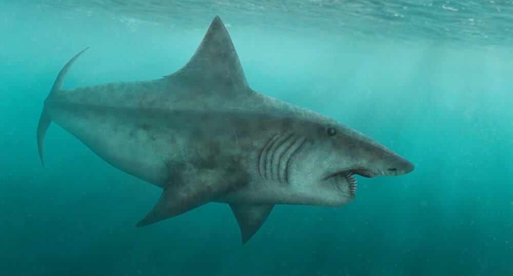 А чё это вы тут делаете, а?