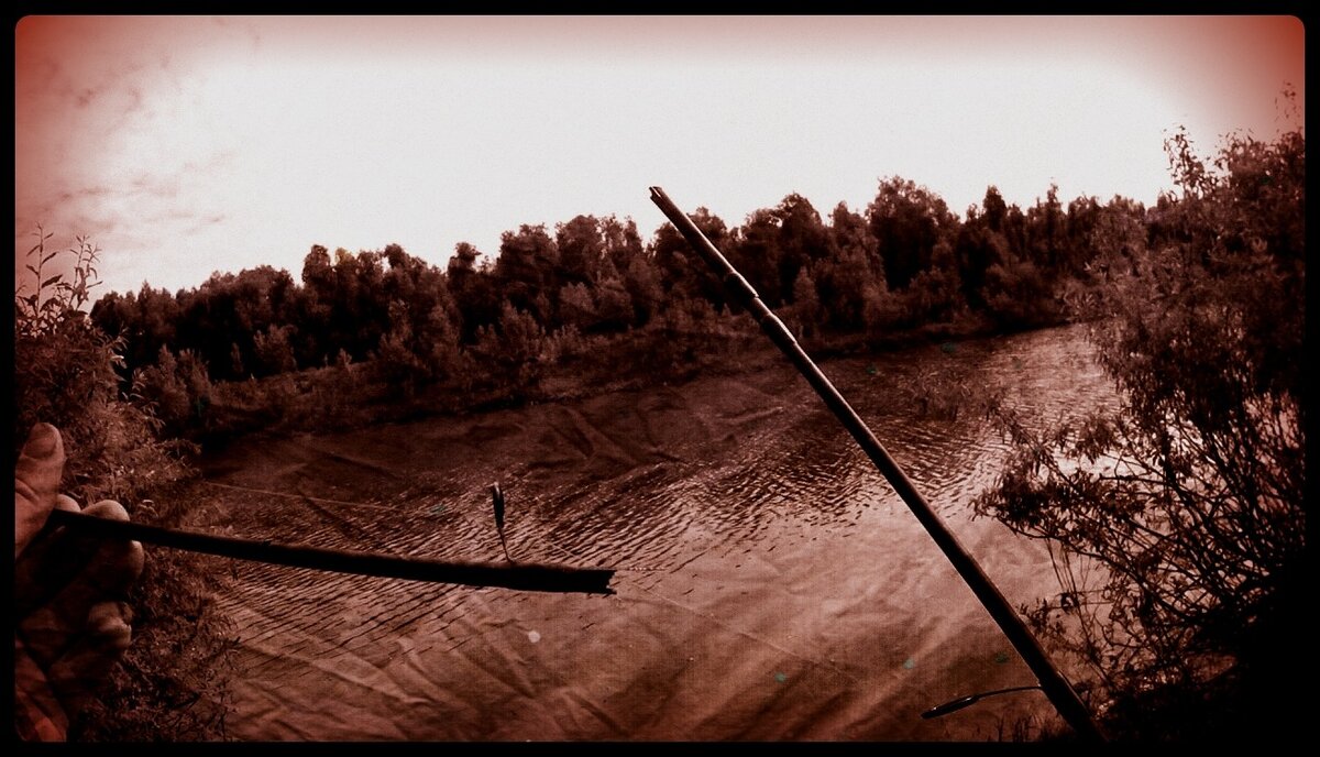 Взято из интернета (свободный источник) 