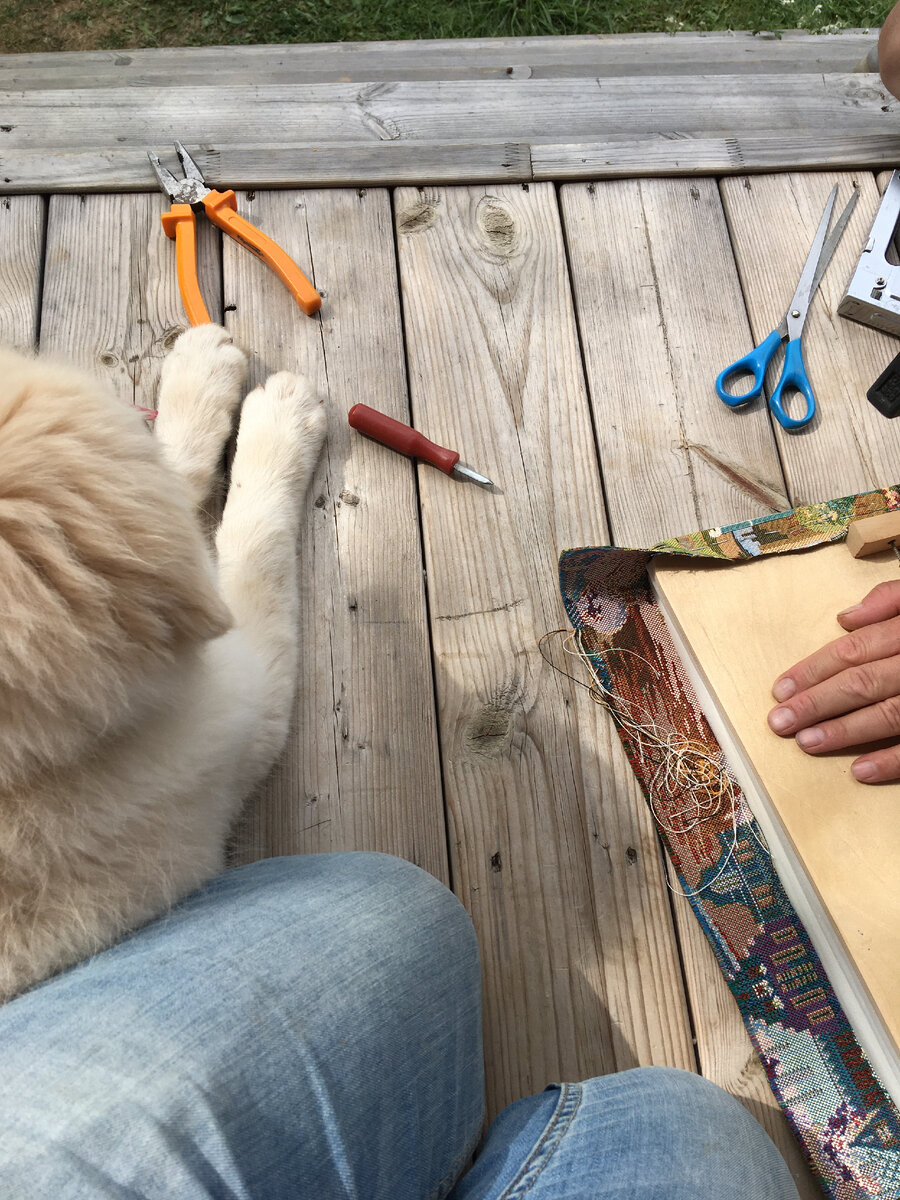 Фото мое Рич контролирует перетяжку