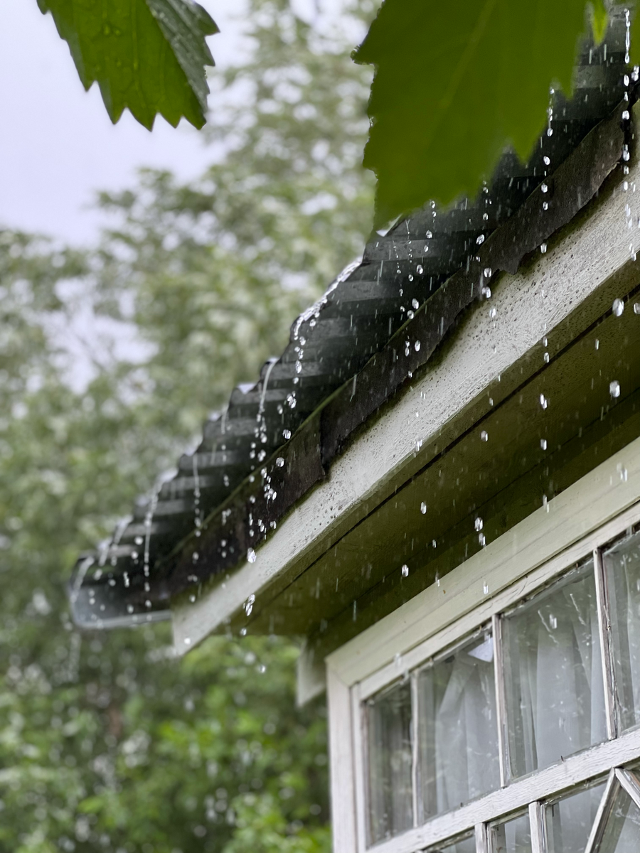 Сегодня день памяти моей бабушки. Прошло почти полтора года, как ее не стало. 