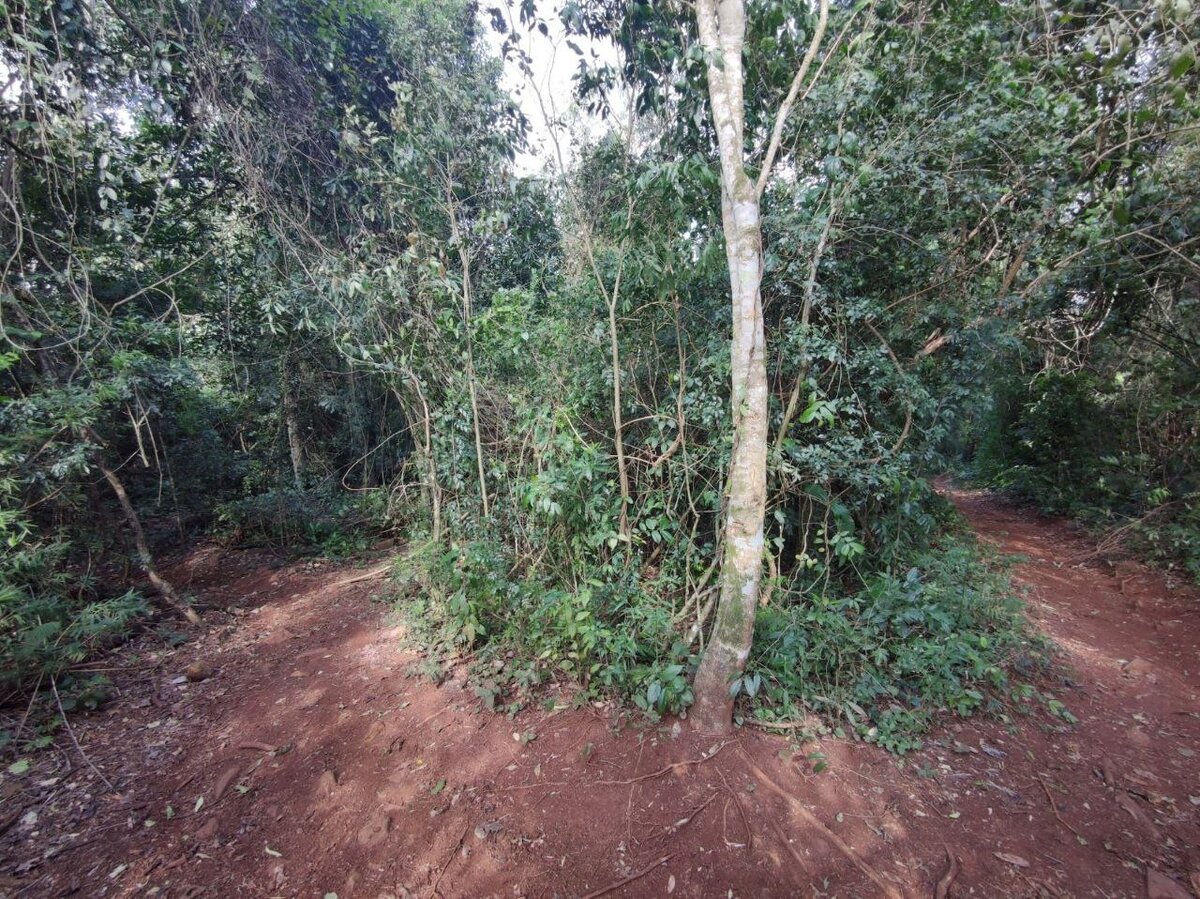 Разделение тропы: обе ведут к водопаду, но с разных сторон