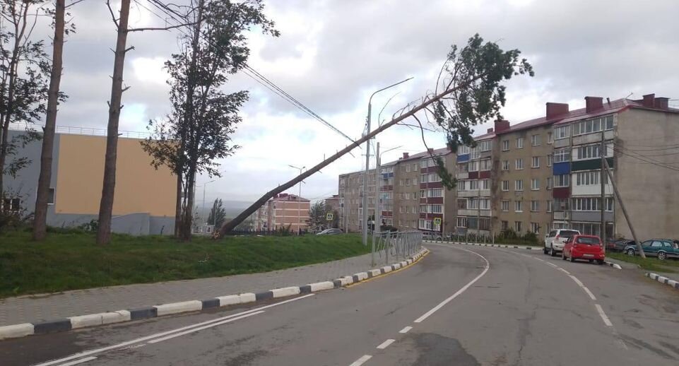     соцсеть «ВКонтакте»
