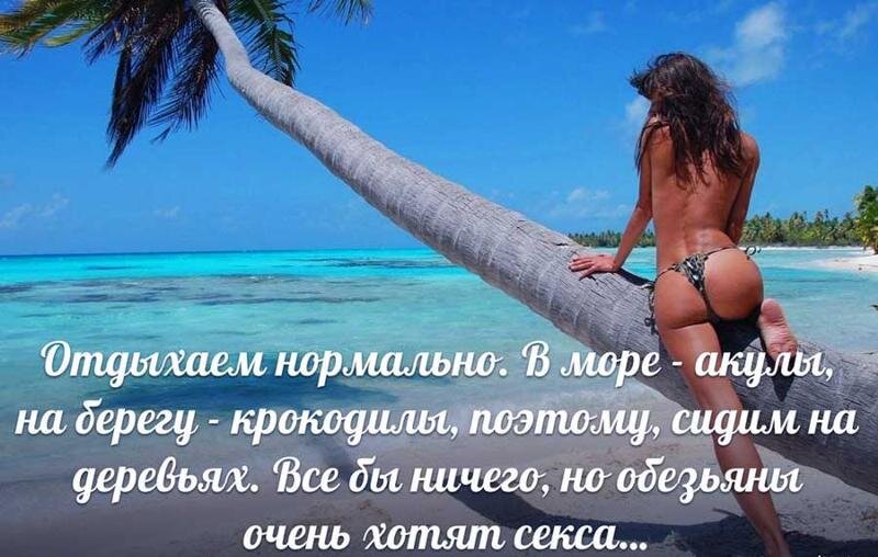 Вы точно человек?