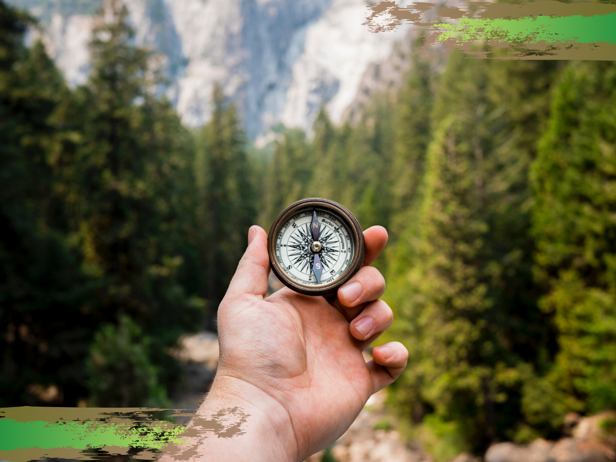 Photo by Jamie Street on Unsplash