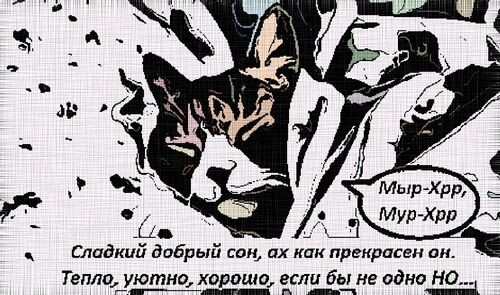 Автор изображения: Свободный Позитив.