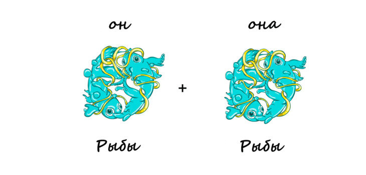 Совместимость знаков рыбы и рыбы. Совместимость с рыбами женщинами. Рыбка женщина совместим. Совместимый знаков зодиака для рыб. Мужчина рыбы и женщина рыбы совместимость.