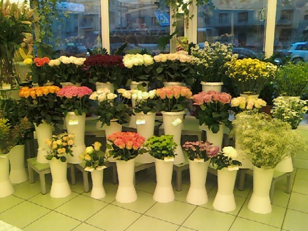 Фото из личного архива