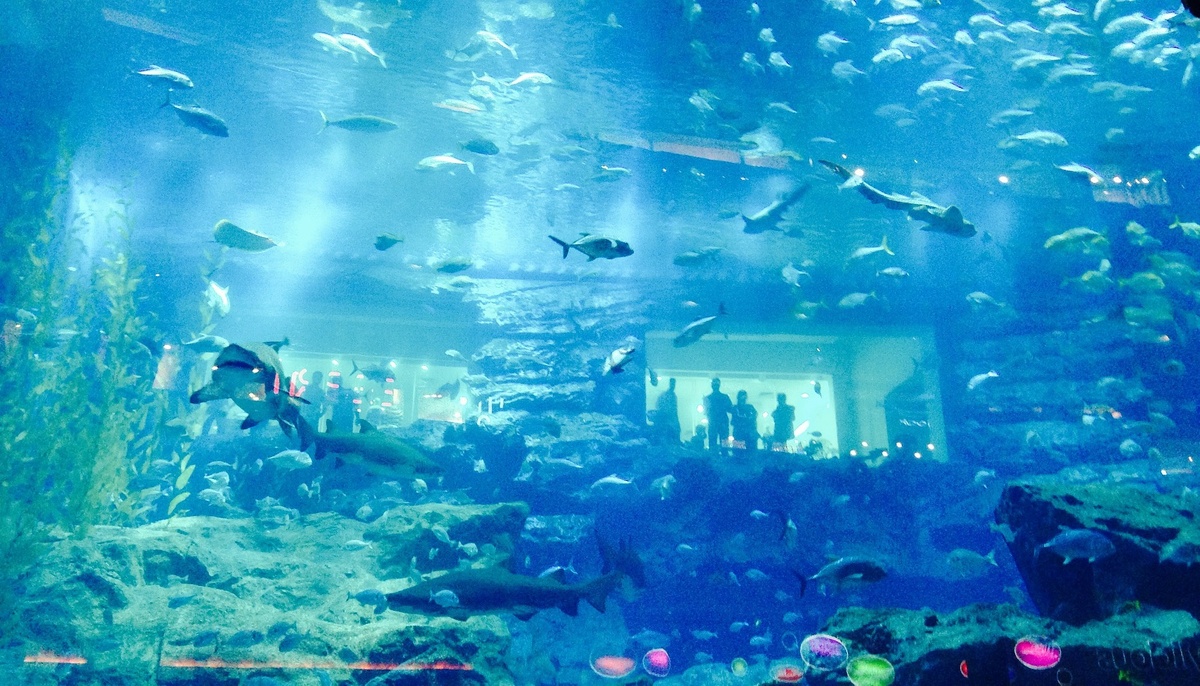 Аквариум в Dubai Mall