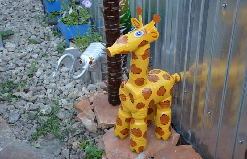 Жираф поселился во дворе