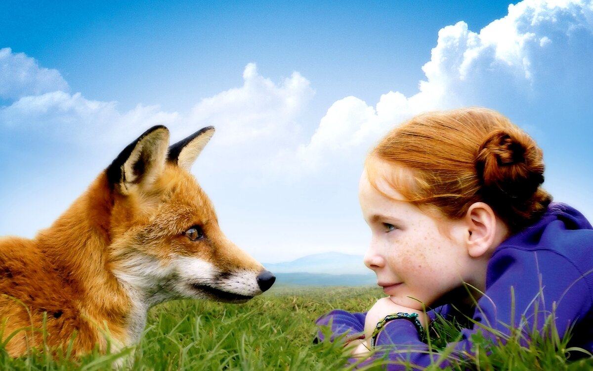 Кадр с обложки фильма "Девочка и лисёнок" режиссёра Люка Жаке, 2007 г. (Франция)