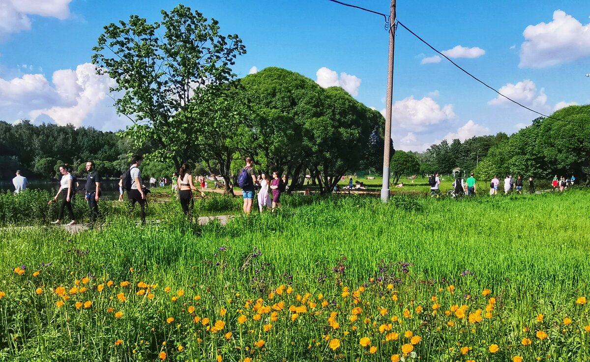 Фото от 07.06.2020