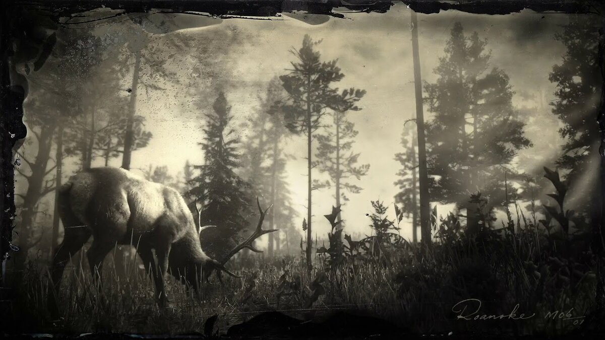 RDR2