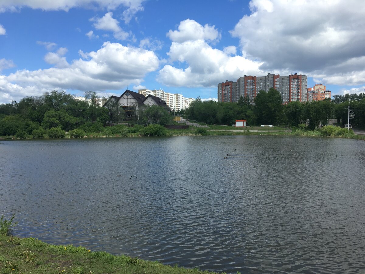 Черноголовский пруд в Ногинске пляж