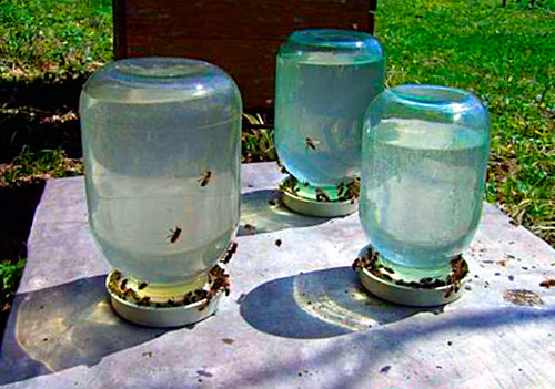 поилки для пчёл