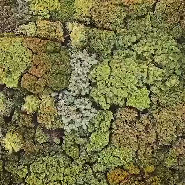 Источник: Яндекс картинки