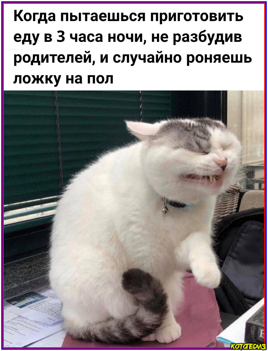 Любимое пришло