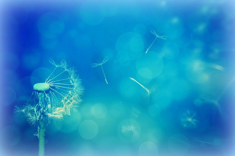 pixabay  