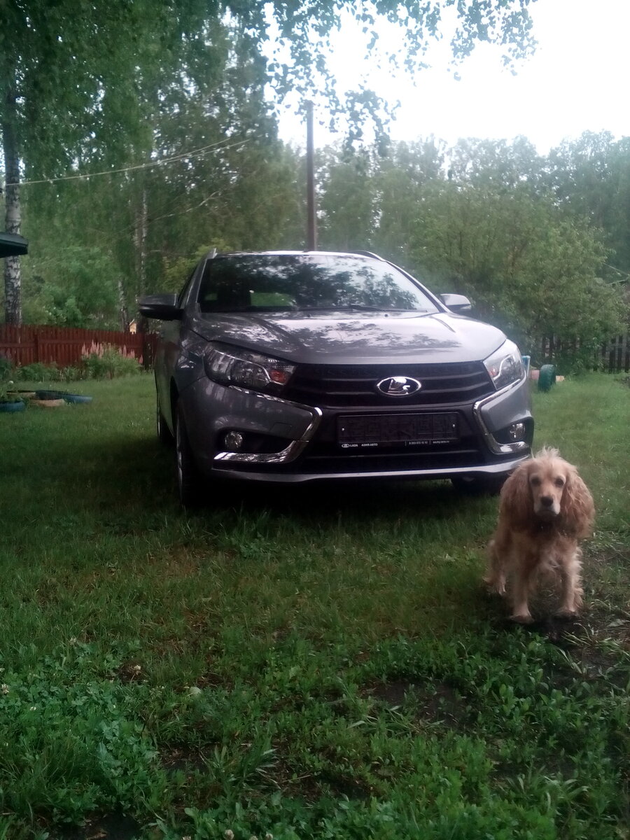 Лада Веста, и любюимая собака, тоже Веста 