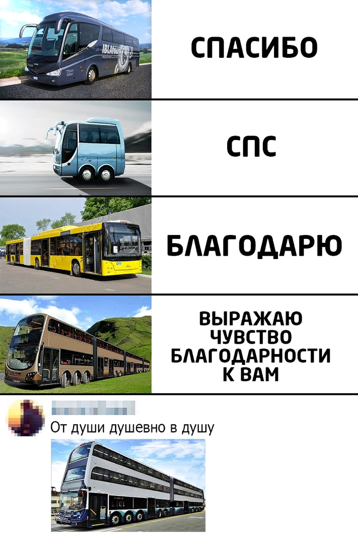 Как расшифровывается спс. Мем автобусы спс. спс спасибо. спс спасибо благодарствую мем. благодарствую автобусы мем.