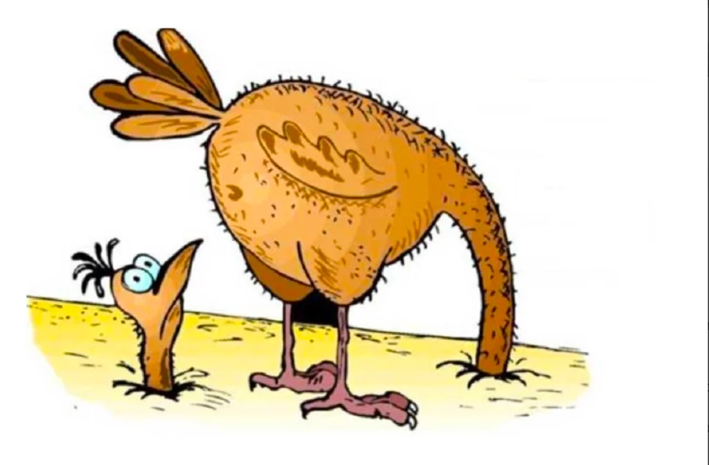 Фото с Яндекс-картинки