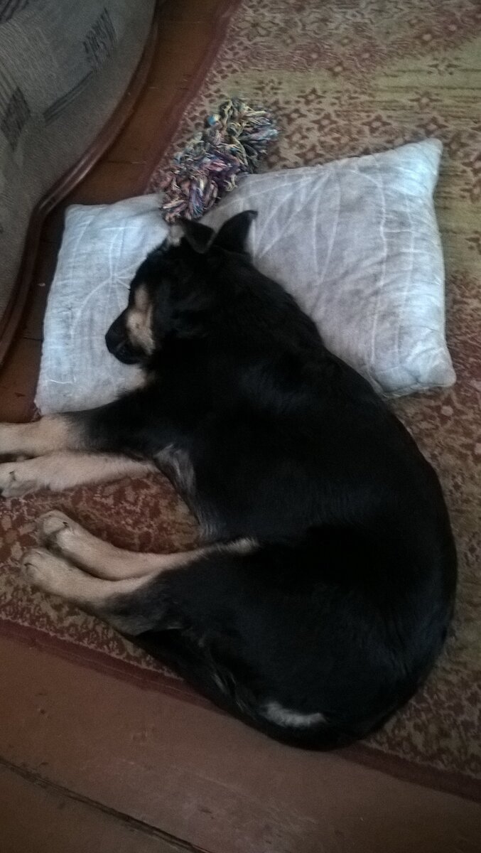 Главное  рядом.