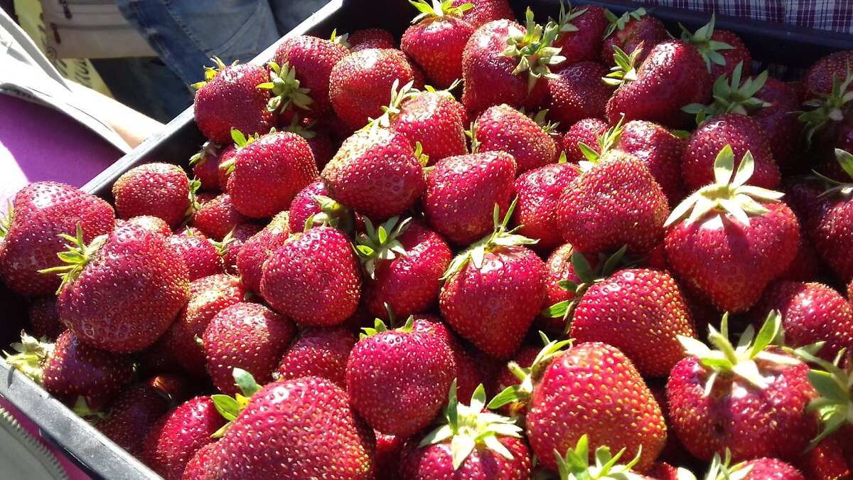 Самая низкая цена на клубнику в Ейске была 140 руб. за кг