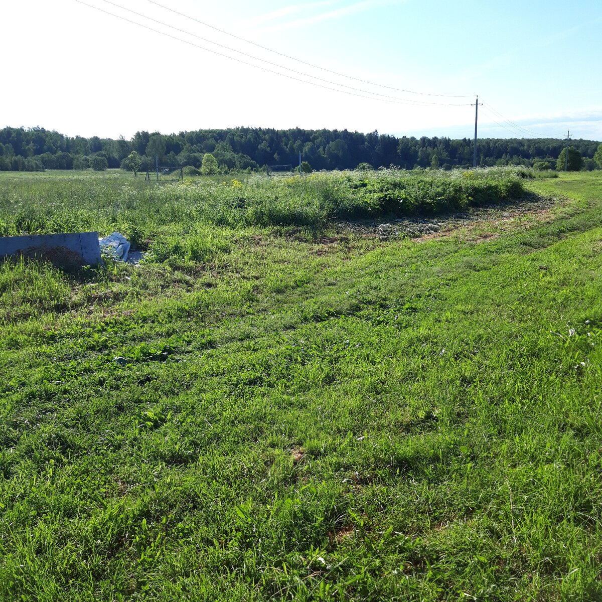 Активный образ жизни заставляет лучше работать мозг