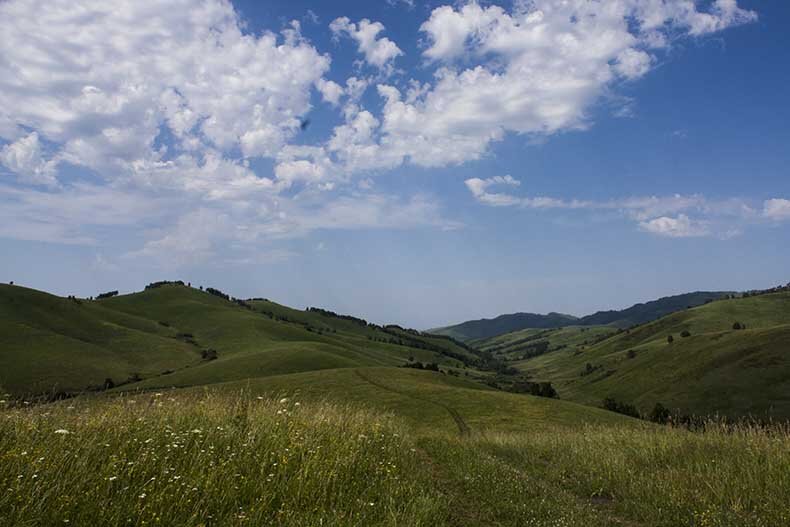 Сама дорога к Алтайскому очень красива.