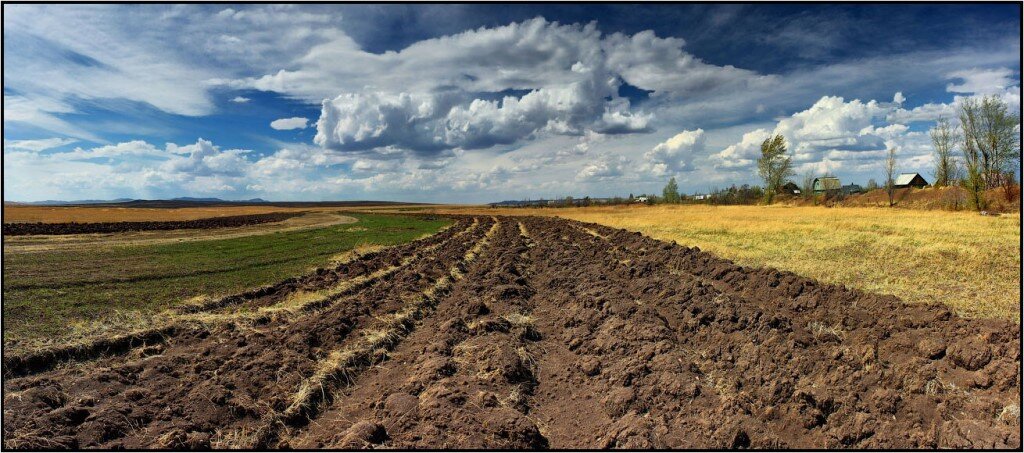 фото Яндекс